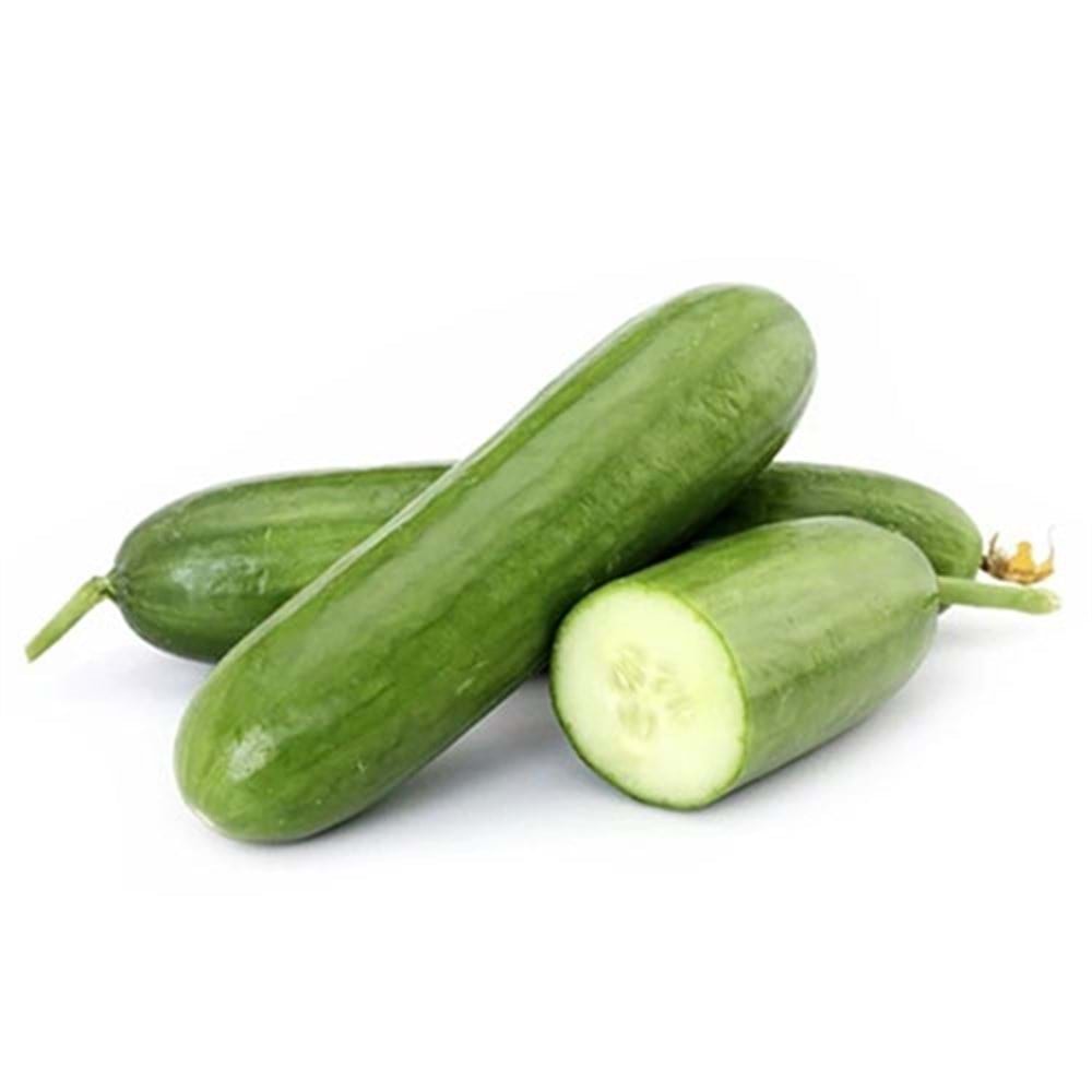 Slor Salata