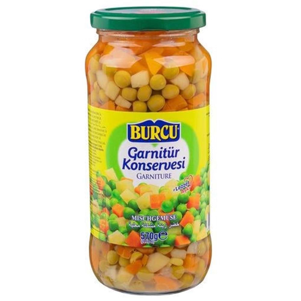 Burcu Garnitür 570 Gr Cam