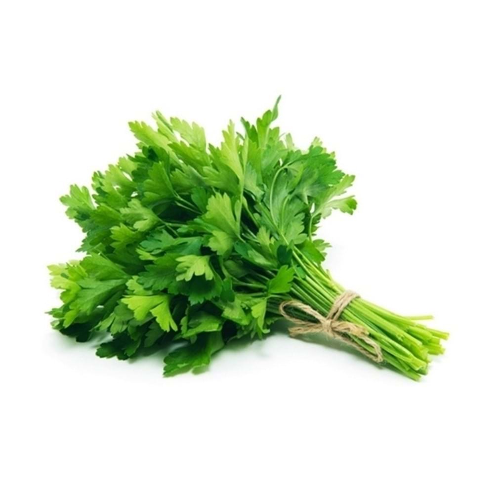 Maydanoz