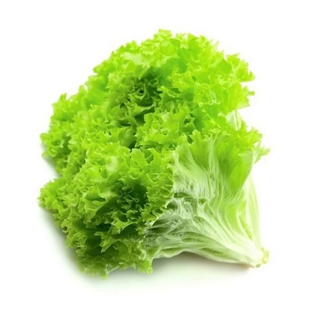 Kıvırcık