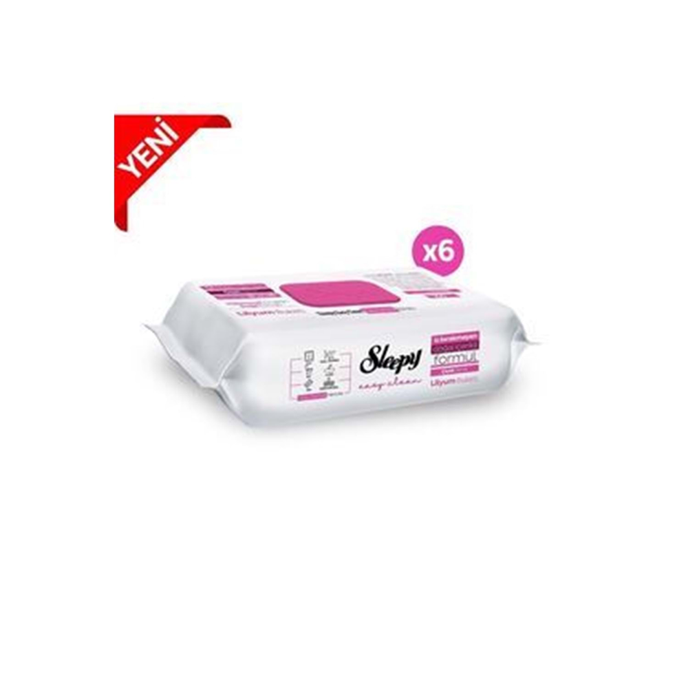 Sleepy Yüzey Temizleme Lilyum Buketi 100 Lü
