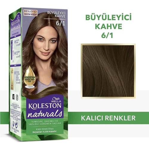 Koleston Saç Boyası Naturel 6/1 Büyüleyici Kahve