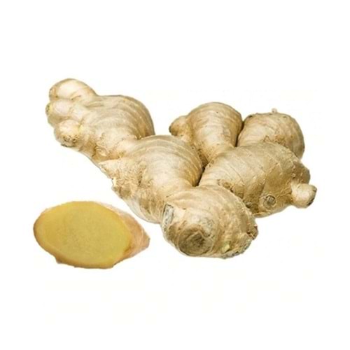 Yaş Zencefil