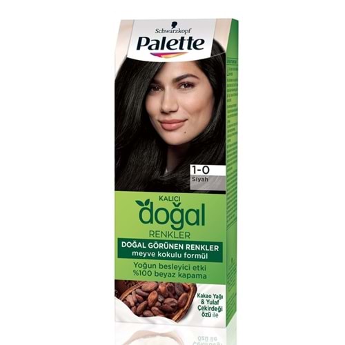 Palette Kalıcı Doğal Reknler 1-0 Sıyah Saç Boyası