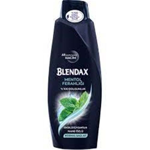 Blendax Erkekler Için Mentollü Şampuan 500 Ml