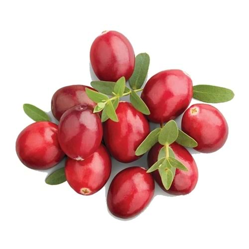 Kızılcık