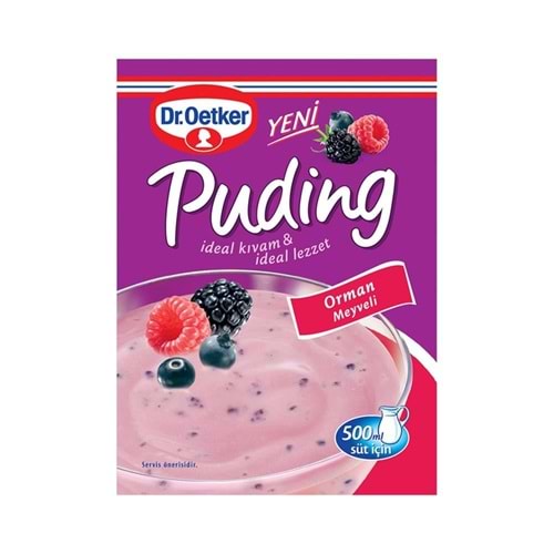Dr. Oetker Puding Orman Meyveli 81 Gr