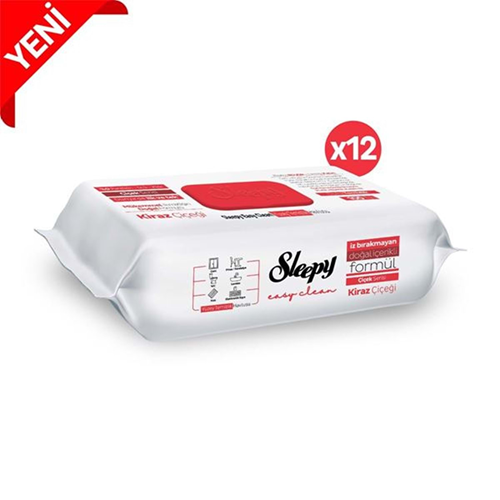 Sleepy Yüzey Temizleme Kiraz Çiçeği 100 Lü