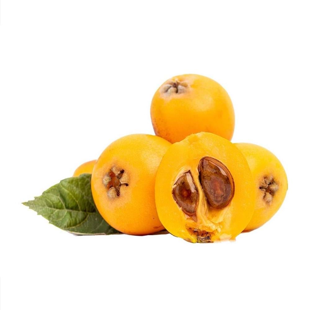 Yenidünya