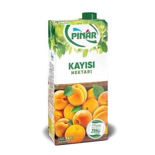 Pınar Meyve Suyu Kayısı 1 Lt